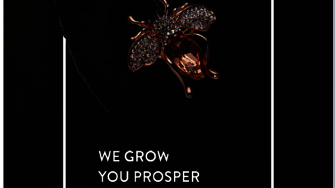 We grow your prosper